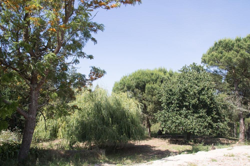 Quinta Da Galeana Dreaming Bed & Breakfast Lourinhã Dış mekan fotoğraf
