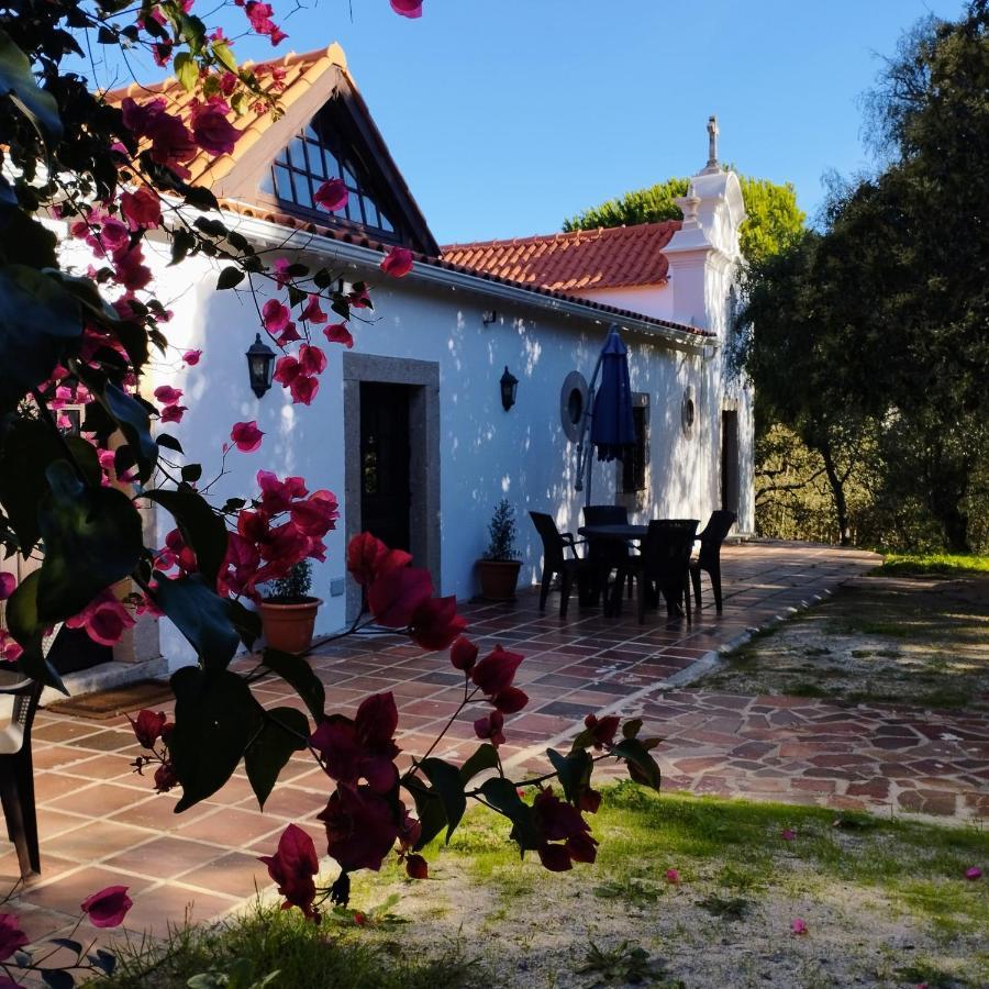 Quinta Da Galeana Dreaming Bed & Breakfast Lourinhã Dış mekan fotoğraf